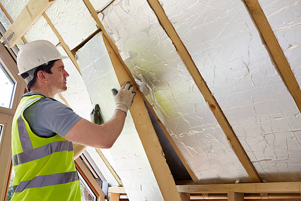 Best Eco-Friendly Insulation Solutions  in Cudahy, WI